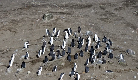 Deception Island