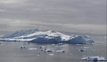 Ice outside Ilulissat