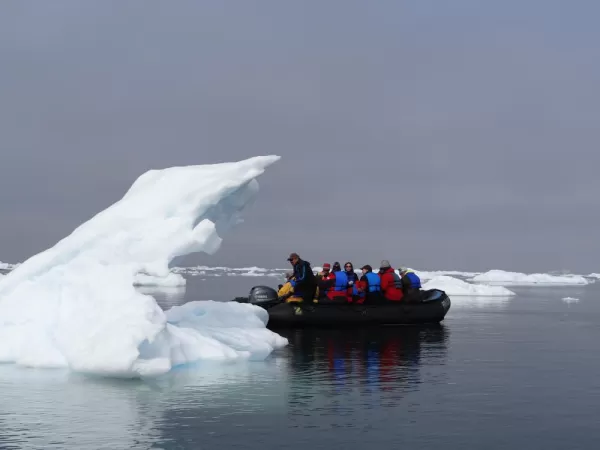 Zodiac cruise among icebergs