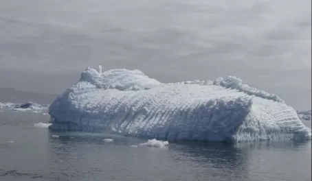 Pleated iceberg