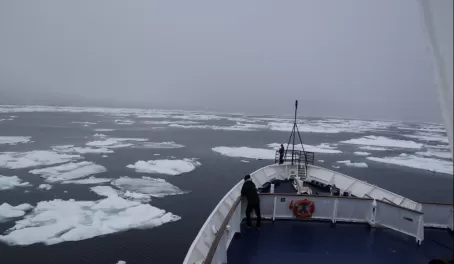 Approaching ice in Davis Strait near Canadian coast