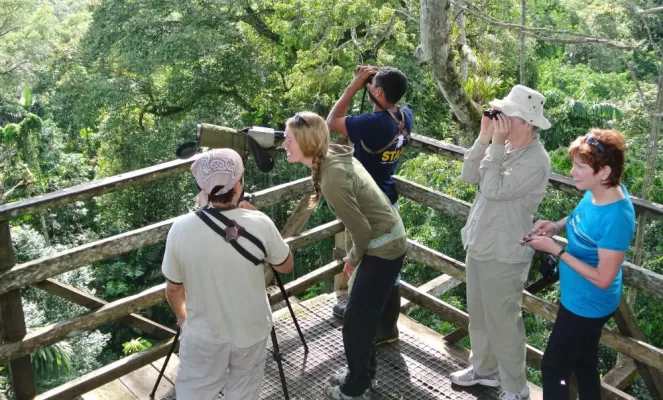 Scouting for wildlife while on a tour of Sacha Lodge