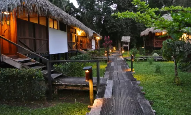 Take an evening stroll around the bungalows at Sacha Lodge