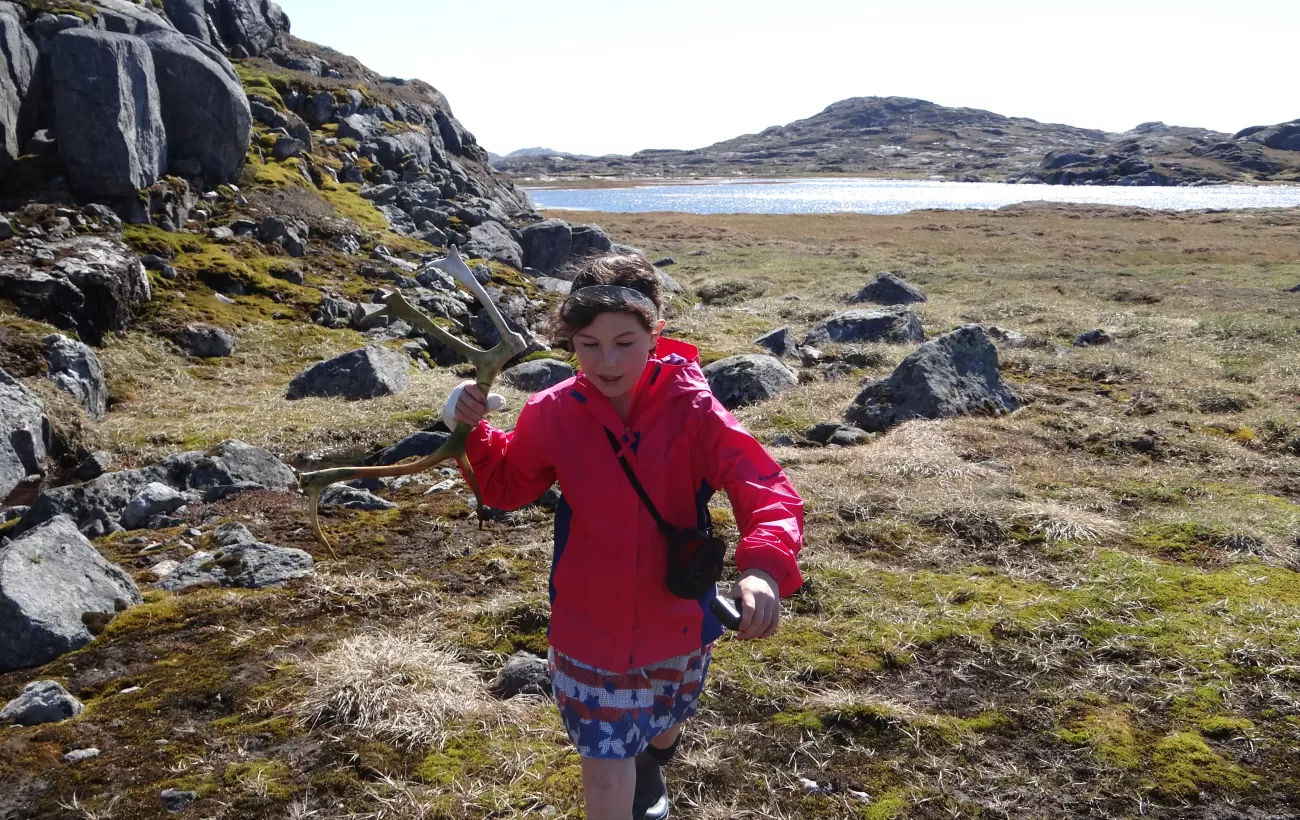 My daughter finds a caribou antler as we hike the terrain 