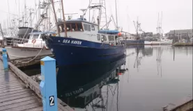 boats docked in Sitka