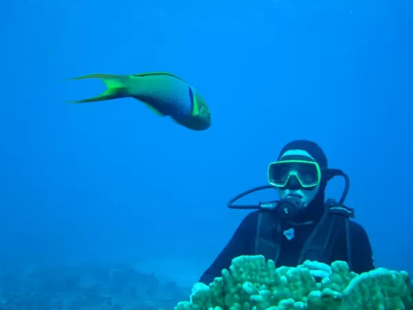 Experience life in an underwater world on your Easter Island tour