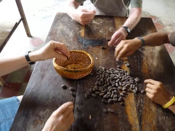 Make your own authentic Nicaraguan chocolate at Choco Museum