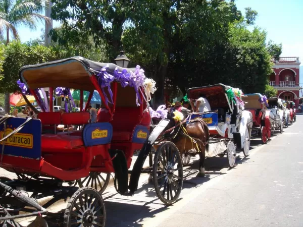 Granada's historic horse-drawn carriages