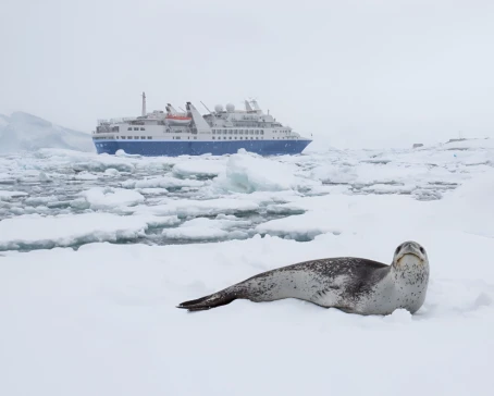 A quiet encounter at the edge of the world