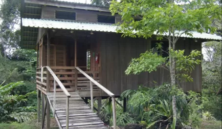 My Cabin at Selva Bananito