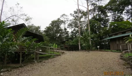 Path to my cabin at Selva Bananito