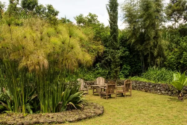 Virunga Lodge Garden