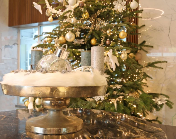Ship's Christmas Decorations