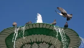 Fountain in Cusco
