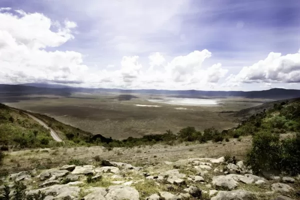 Stunning View of the Serengeti