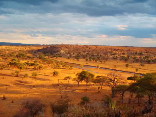 The beautiful African landscape at sunset.