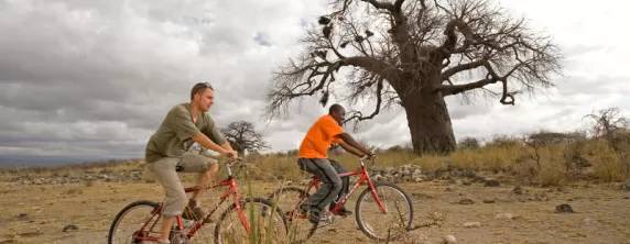 Biking Safari