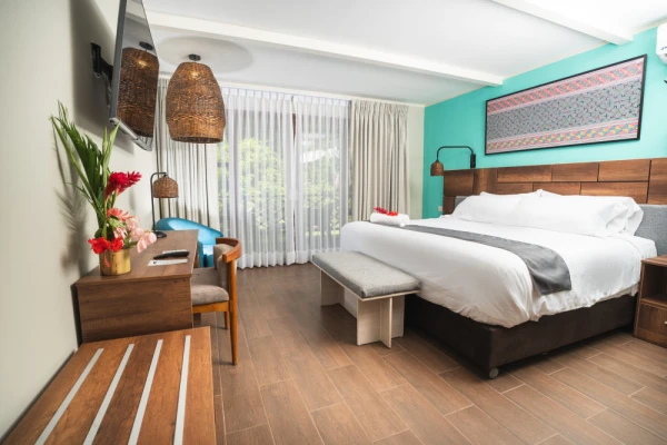 Superior double room with view