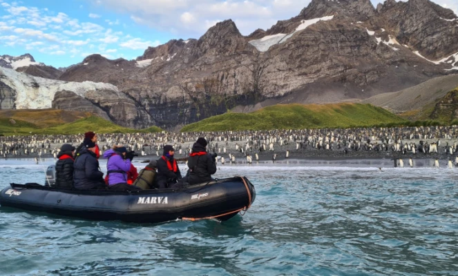Wildlife encounter in Galapagos