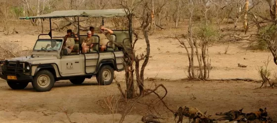 Game Drive in the Ngorongoro Crater