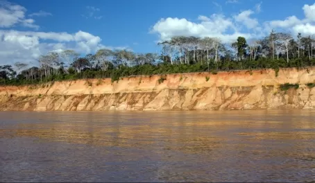 Peruvian riverbank