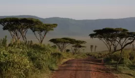 The unique landscape of Tanzania