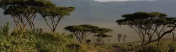 The unique landscape of Tanzania