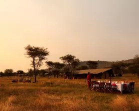 Enjoy a meal out on the plains.