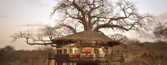 A view of the tree house style lodge at Tarangire Treetops Lodge
