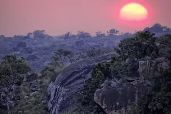 Tarangire Treetops Lodge
