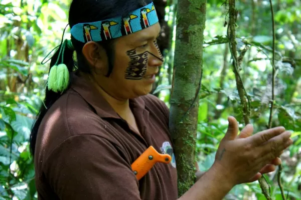 Learn about the rainforest from a native Huaorani guide