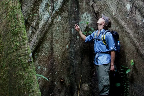 Admiring the size of the tree in the Amazon