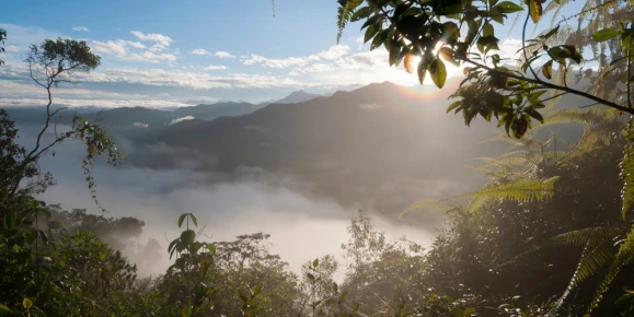 Sunrise over the misty canopy of the Bellavista Cloud Forest Reserve, Ecuador