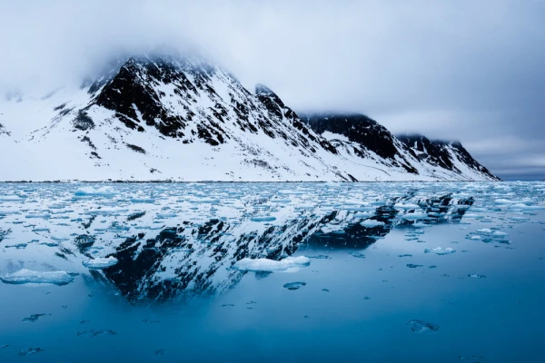 Black and white landscape of the Arctic.