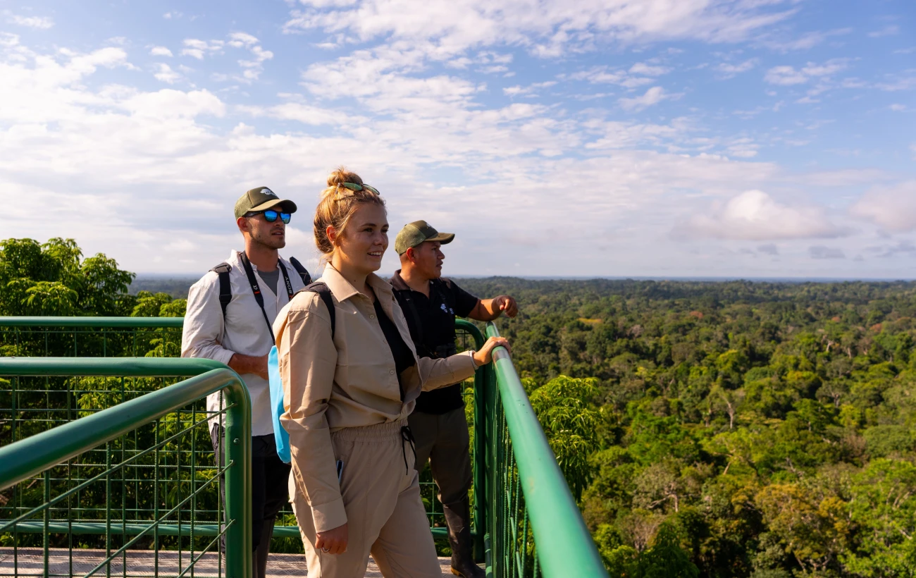 Panoramic views over the rainforest canopy from the tower