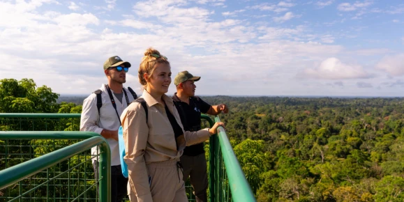 Panoramic views over the rainforest canopy from the tower