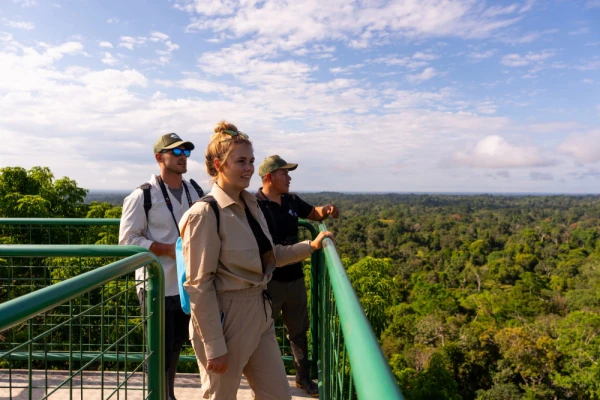 Panoramic views over the rainforest canopy from the tower