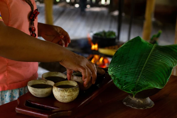 Traditional guayusa drink prepared over the fire
