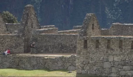 Llamas roaming the ruins at Machu Picchu