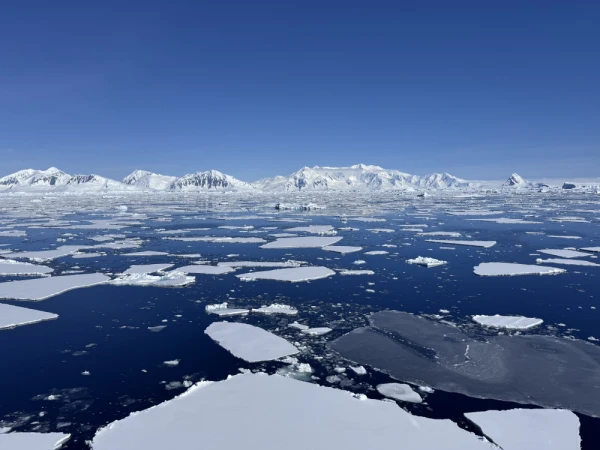 Sea of ice in Antarctica