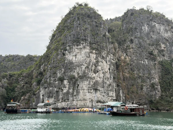 Iconic limestone island scenery of the Ha Long Bay