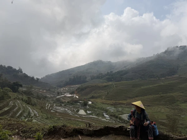 Rice field scenery on top of foggy Sa Pa, Vietnam