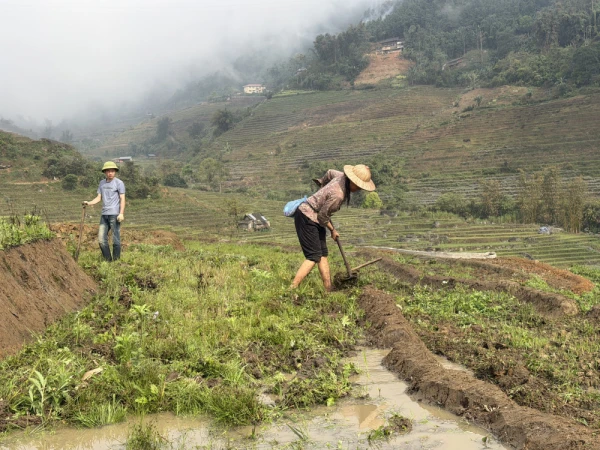 a local doing the farm work in Sa Pa, Vietnam