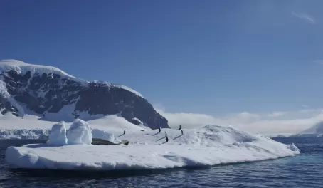 Penguins on the coast of the Antarctic Peninsula
