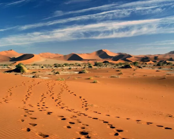 The Sossusvlei Dunes