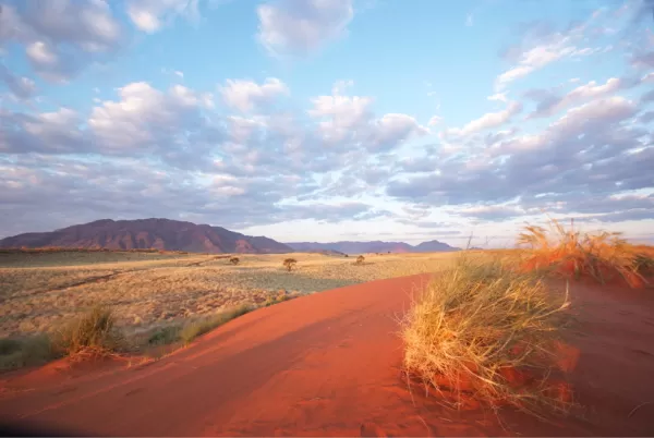The beautiful red sands of the NamibRand Nature Reserve