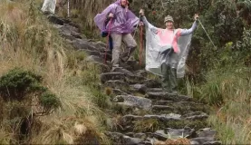 Climbing out of the cloudforest during our Inca Trail trek