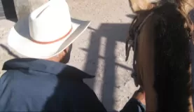 My horse and my guide