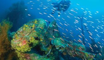 Swim with sunken WWII warcraft in the Solomon Islands