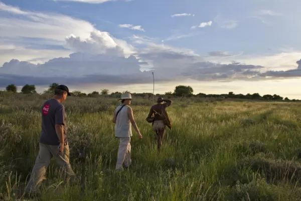 Walking safari in Botswana